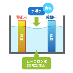 ビーコロン水の「生成原理」