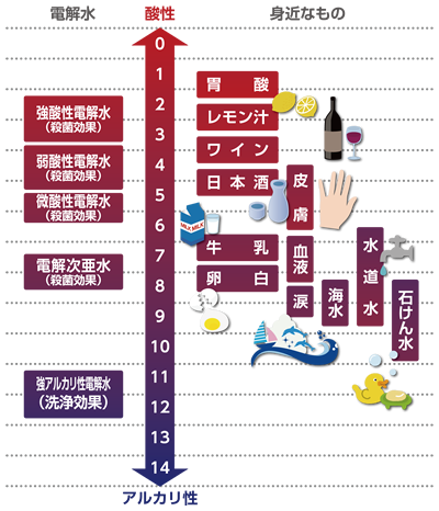 電解水と身近なもののpH値比較